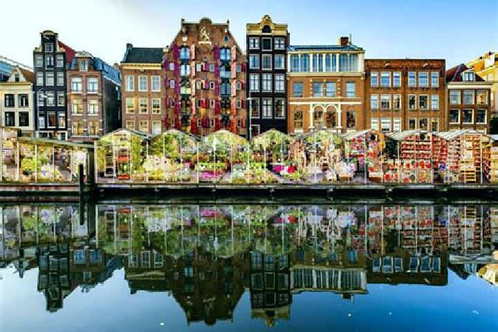 Escorts Halle, Netherlands — Local Companions