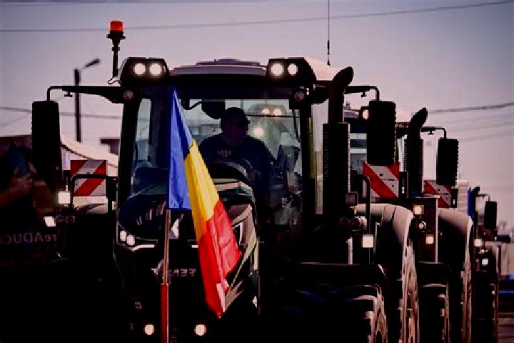 Escorts Halmeu, Romania — Local Companions