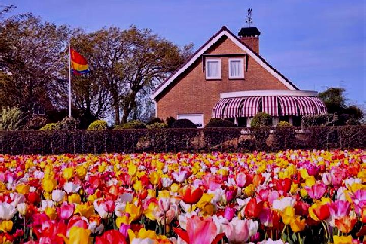 Escorts Halsteren, Netherlands — Local Companions
