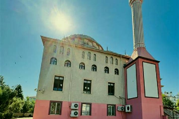 Escorts Hamdibey, Turkey — Local Companions