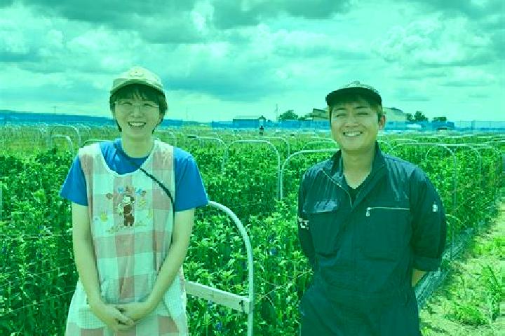 Escorts Hario, Japan — Local Companions