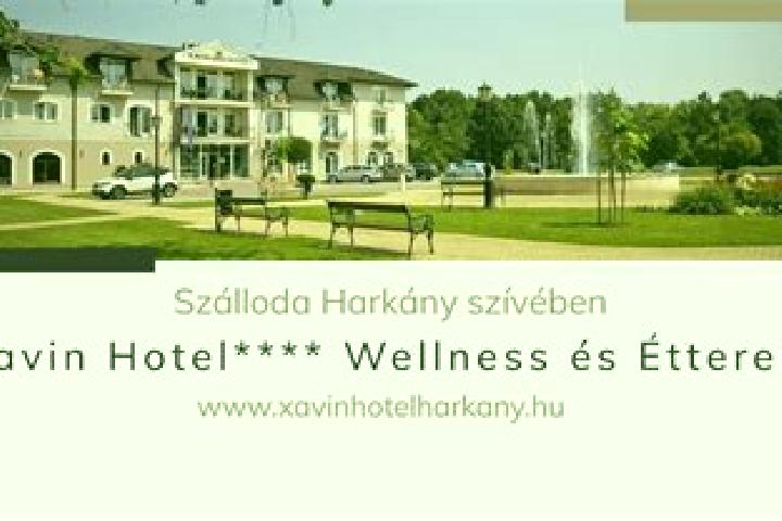 Escorts Harkany, Hungary — Local Companions
