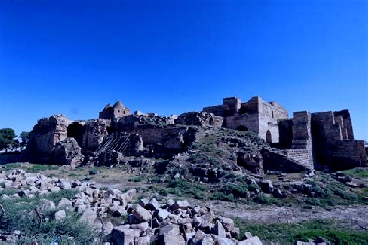 Escorts Harran, Turkey — Local Companions