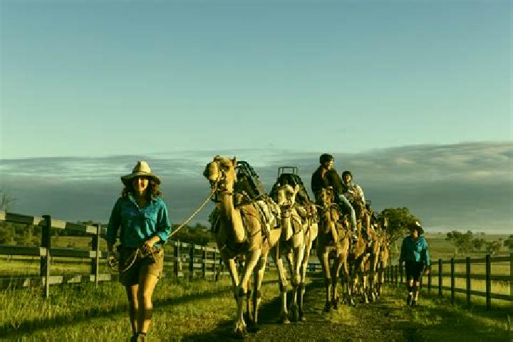 Escorts Harrisville, Australia — Local Companions