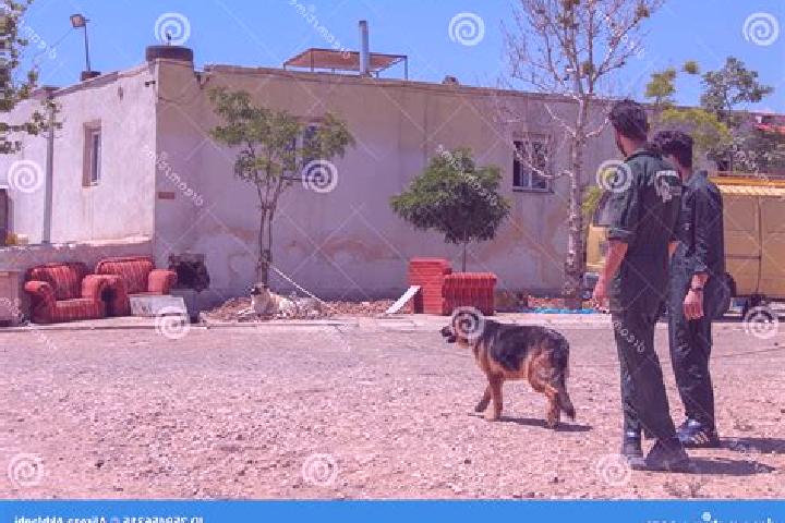 Escorts Hashtgerd, Iran — Local Companions