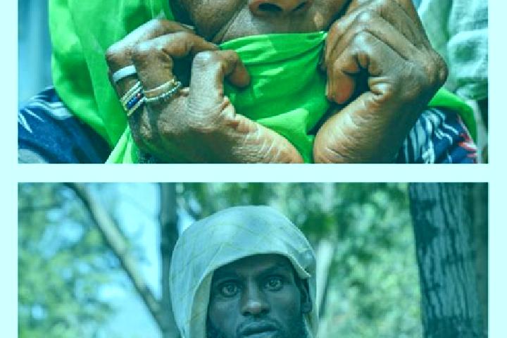 Escorts Hayk , Ethiopia — Local Companions