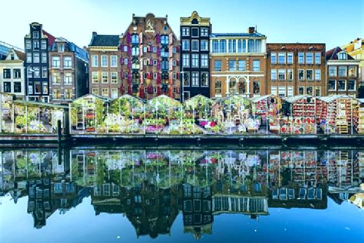 Escorts Heesterakker, Netherlands — Local Companions