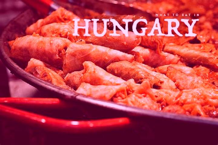 Escorts Hegyko, Hungary — Local Companions