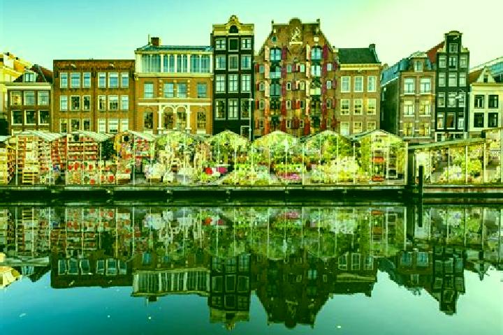 Escorts Hemelum, Netherlands — Local Companions