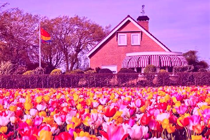 Escorts Herkenbosch, Netherlands — Local Companions