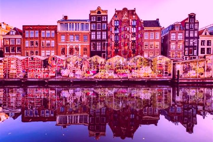 Escorts Herpt, Netherlands — Local Companions