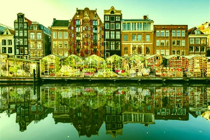 Escorts Herten, Netherlands — Local Companions