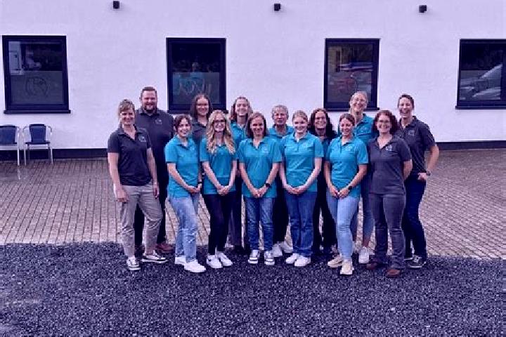 Escorts Herzogenrath, Germany — Local Companions
