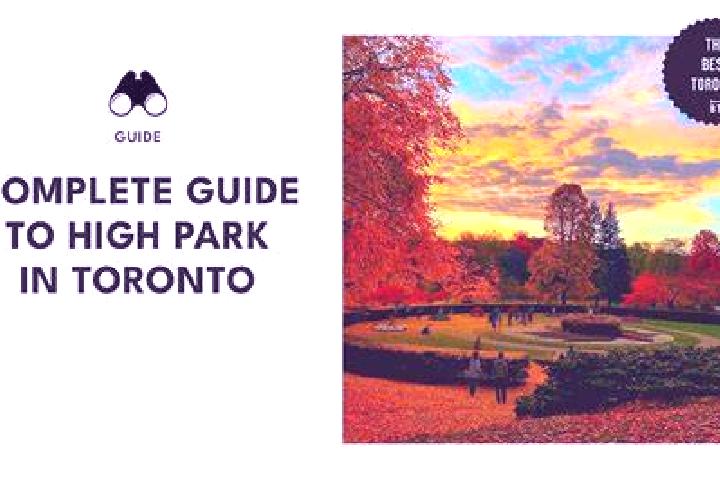 Escorts High Park, Canada — Local Companions