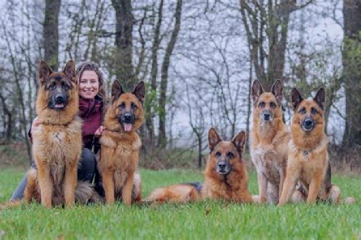Escorts Hilpoltstein, Germany — Local Companions