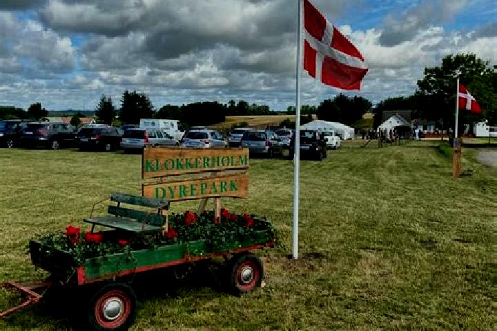 Escorts Hjallerup, Denmark — Local Companions