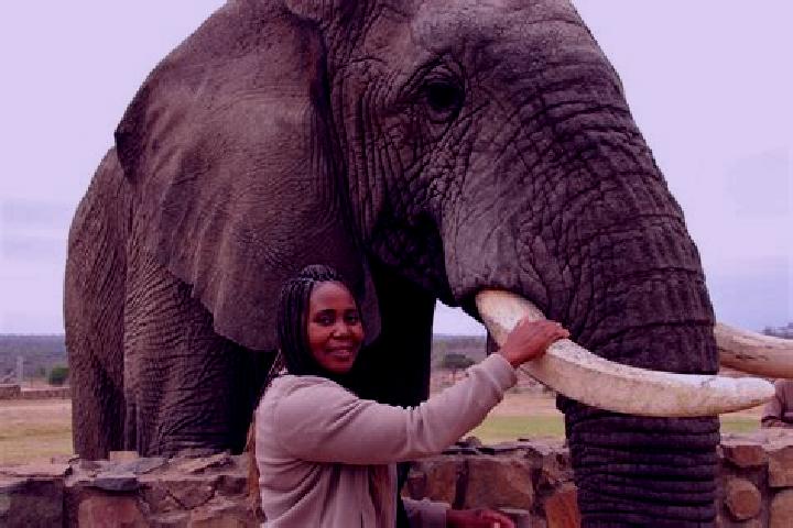 Escorts Hoedspruit, South Africa — Local Companions