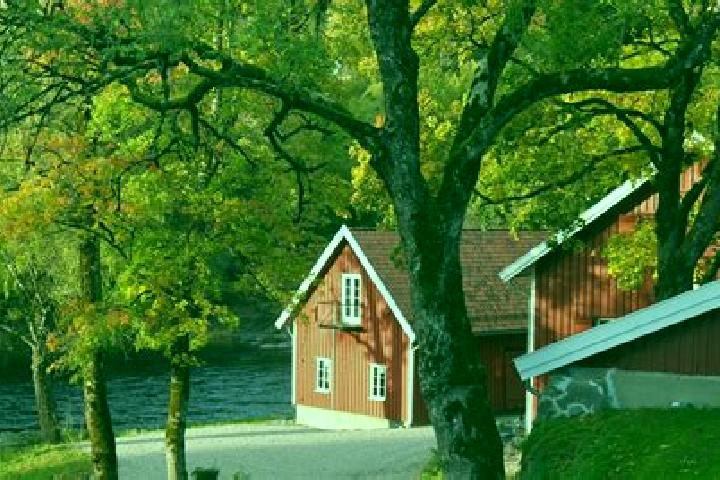 Escorts Hof, Norway — Local Companions