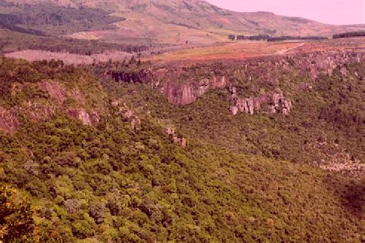 Escorts Hogsback, South Africa — Local Companions
