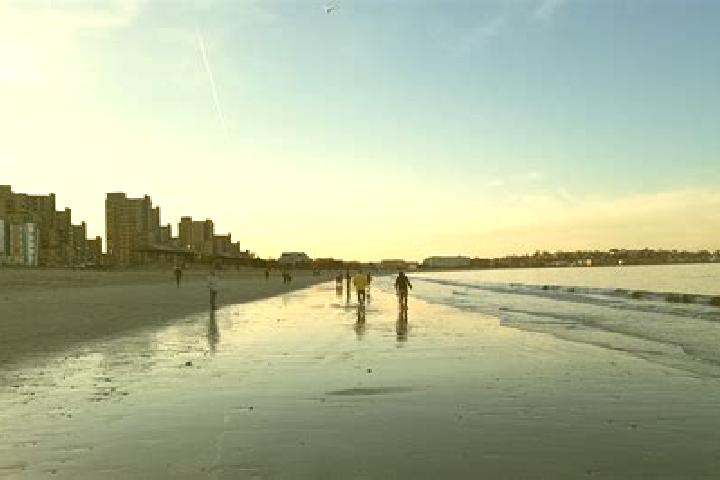 Escorts Holmes Beach, United States — Local Companions