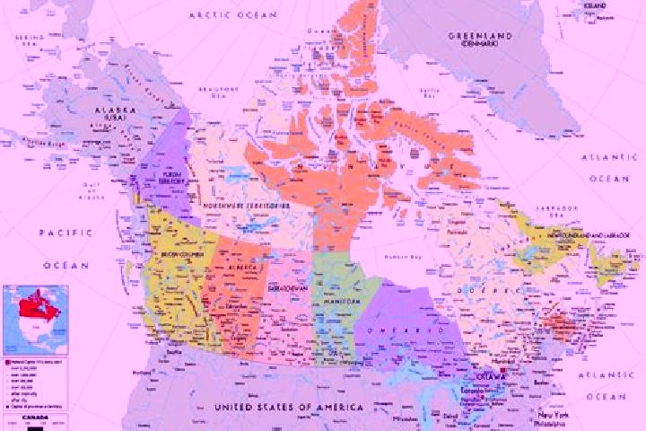 Escorts Homesteader, Canada — Local Companions