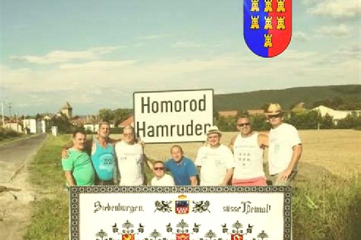 Escorts Homorod, Romania — Local Companions