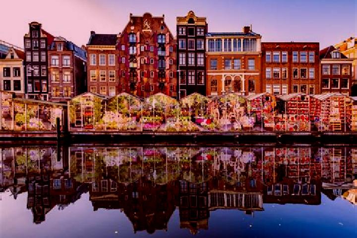 Escorts Hoofdplaat, Netherlands — Local Companions