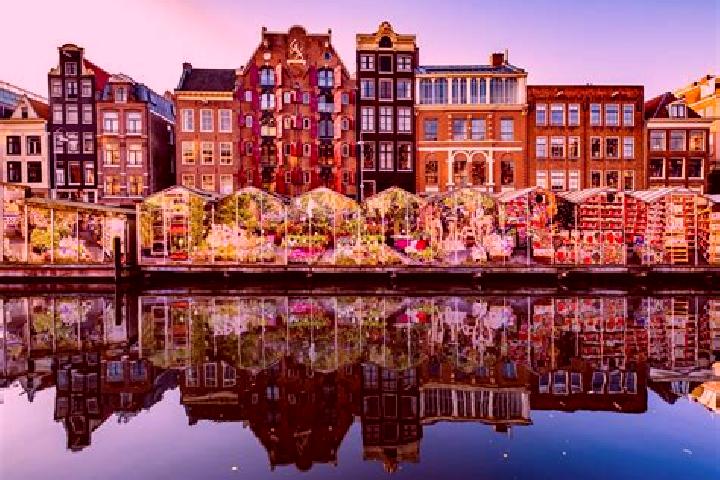 Escorts Hoogmade, Netherlands — Local Companions