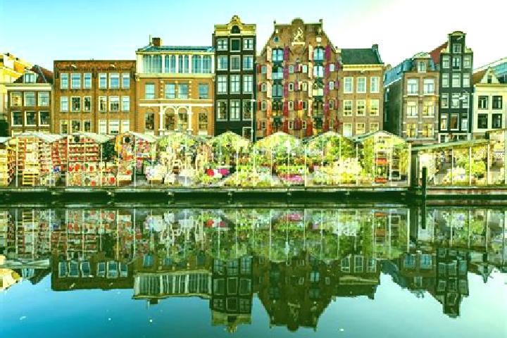 Escorts Hoogwoud, Netherlands — Local Companions