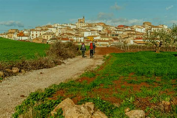 Escorts Hornillos del Camino, Spain — Local Companions