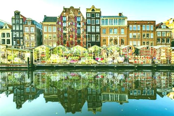 Escorts Houthem, Netherlands — Local Companions