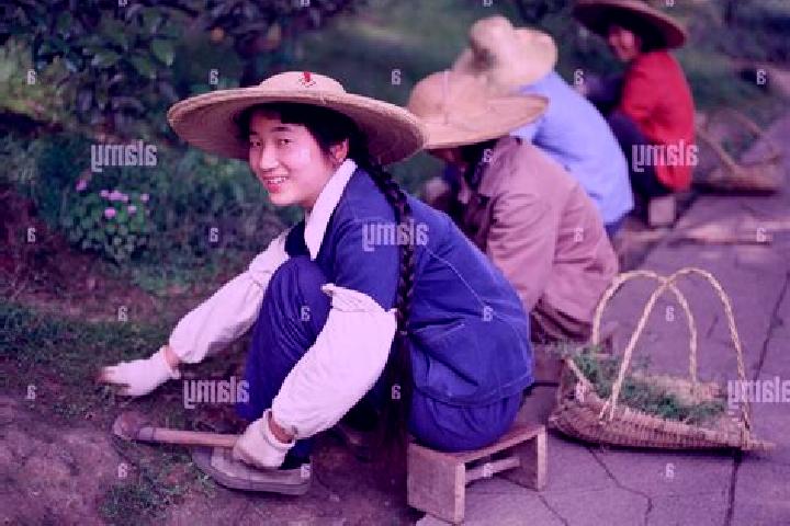 Escorts Huagang, China — Local Companions