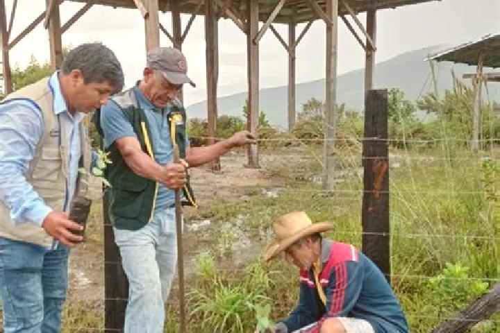 Escorts Huarango Mocho, Peru — Local Companions