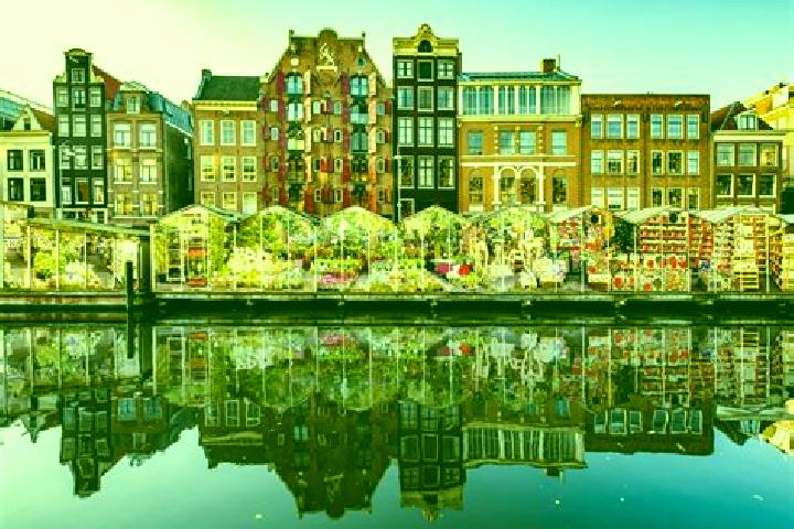 Escorts Hulst, Netherlands — Local Companions