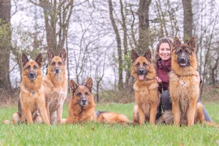 Escorts Hundeshagen, Germany — Local Companions
