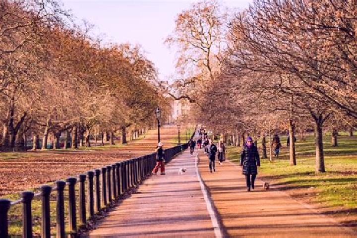 Escorts Hyde Park, United Kingdom — Local Companions