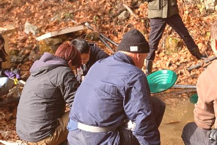 Escorts Ichinoseki, Japan — Local Companions
