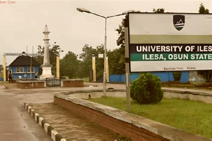 Escorts Ilesa, Nigeria — Local Companions