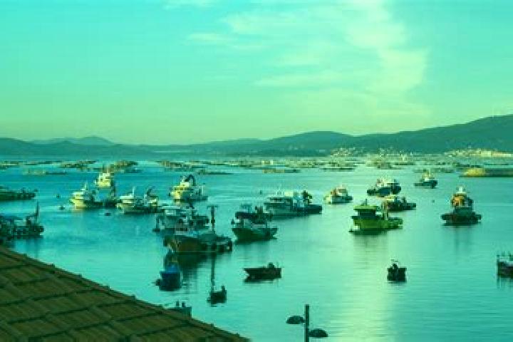 Escorts Illa de Arousa, Spain — Local Companions