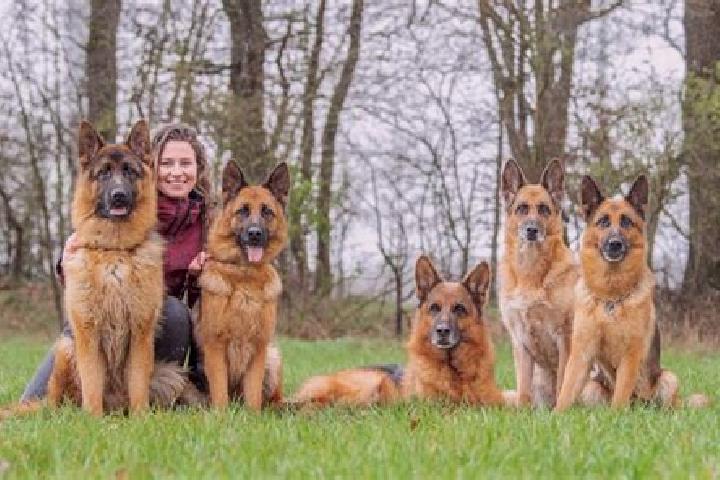 Escorts Immekath, Germany — Local Companions