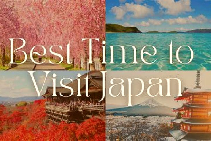 Escorts in Japan — City Directory — Page 36