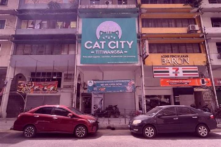 Escorts in Malaysia — City Directory — Page 2