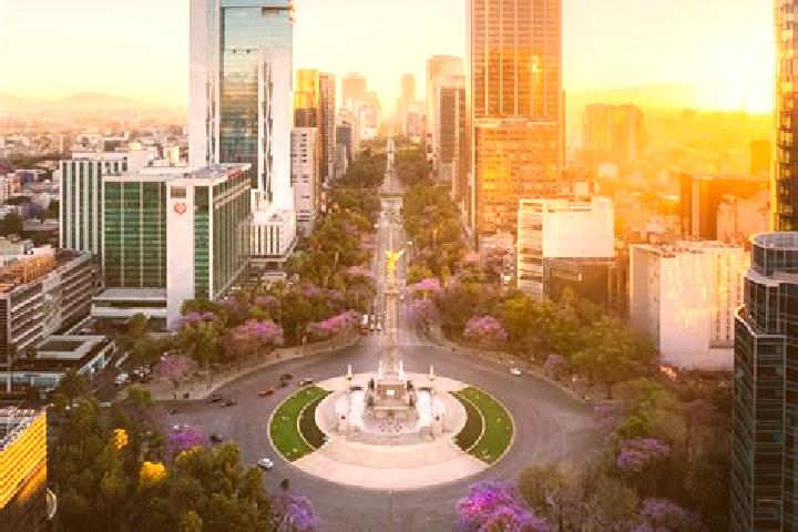 Escorts in Mexico — City Directory — Page 316