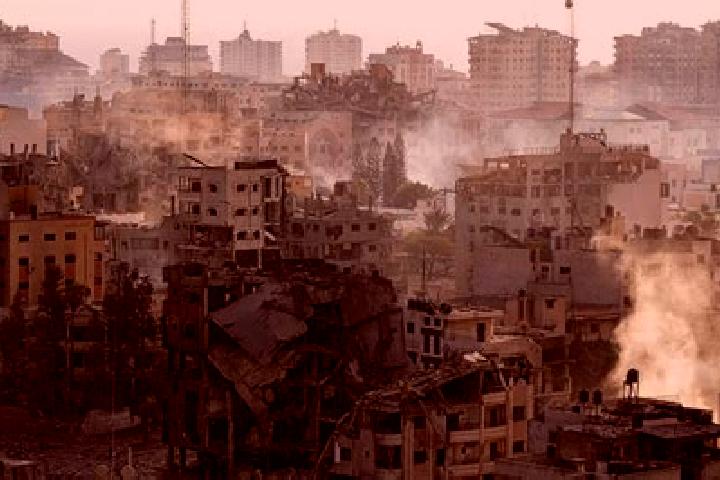 Escorts in Palestine — City Directory — Page 8