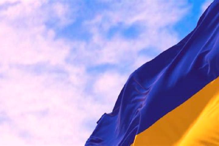 Escorts in Ukraine — City Directory — Page 104