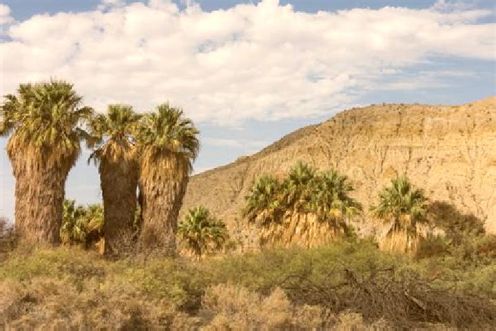 Escorts Indio Hills, United States — Local Companions