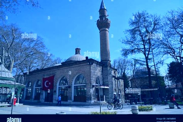 Escorts Inegol, Turkey — Local Companions