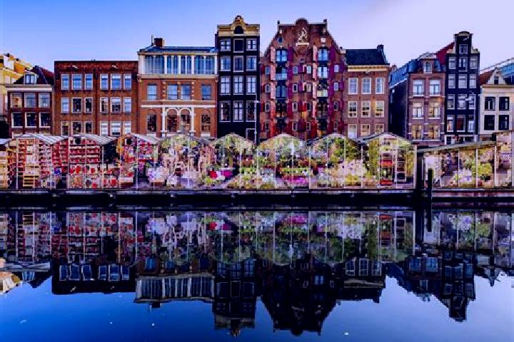 Escorts Ingen, Netherlands — Local Companions
