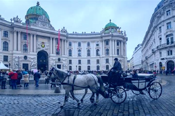 Escorts Innere Stadt, Austria — Local Companions