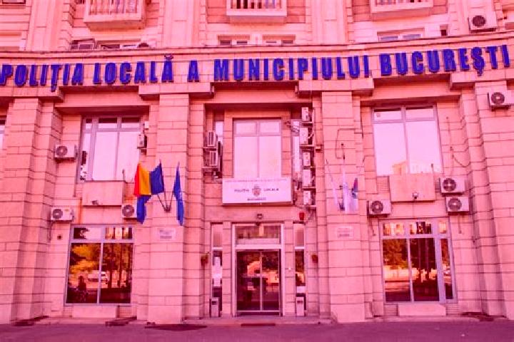 Escorts Intregalde, Romania — Local Companions